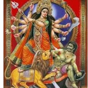 Meet your Posher, Mita